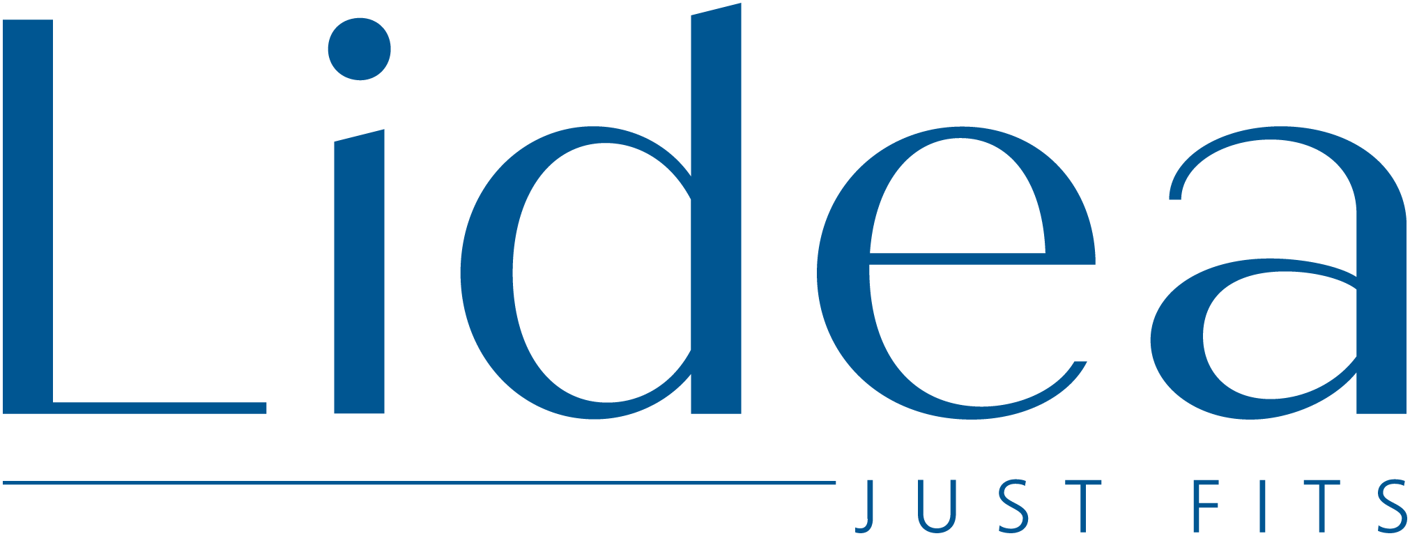 Logo Lidea